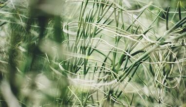 Kendi ellerinizle şanslı bir muska nasıl yapılır