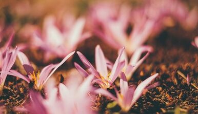 kendi ellerinizle şanslı bir muska nasıl yapılır